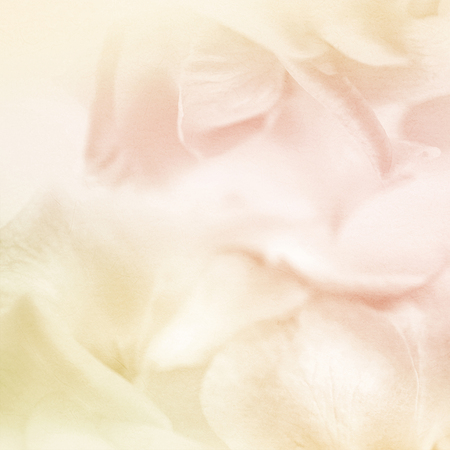 vivid color flower petals in soft color on mulberry paper texture for backgroundの写真素材