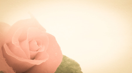 roses flower in vintage color style on mulberry paper textureの写真素材