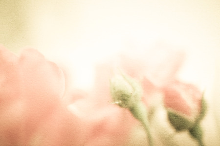 roses in vintage color style on mulberry paper textureの写真素材