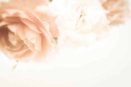 sweet roses in vintage color style on mulberry paper texture for backgroundの写真素材