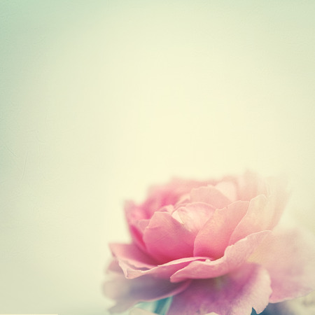 sweet roses in vintage color style on mulberry paper texture for backgroundの写真素材