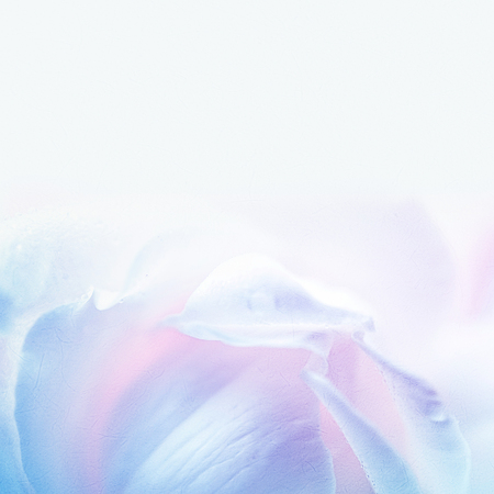 sweet roses in soft color style on mulberry paper texture for valentine's day concept backgroundの写真素材