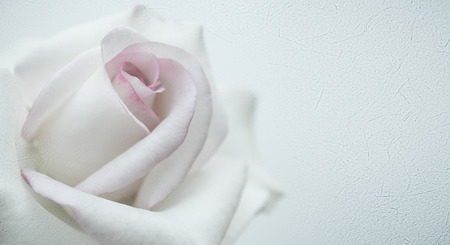 sweet roses in vintage color style on mulberry paper textureの写真素材