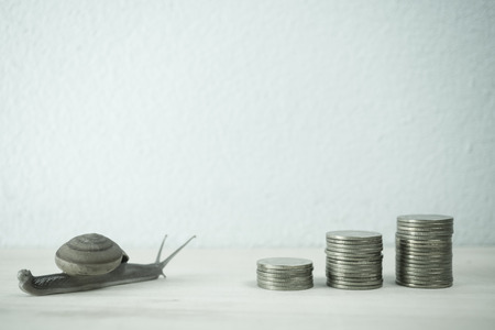 snail low speed and growing plant on row of coin money for value investment conceptの写真素材