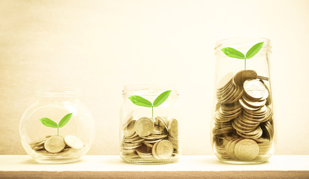 Growing plant on  coin money in the bottle for finance and banking conceptの写真素材
