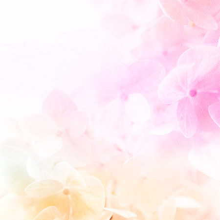 colorful flowers in soft color and blur style on mulberry paper texture for romantic backgroundの写真素材