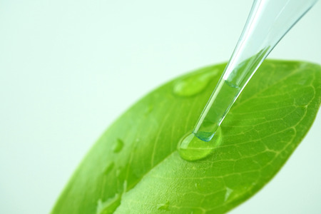 water drop from leaf and laboratory for natural chemistry conceptの写真素材
