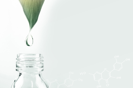 water drop from leaf and laboratory for natural chemistry conceptの写真素材