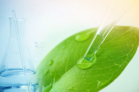 water drop from leaf and laboratory for natural chemistry conceptの写真素材