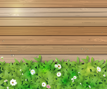 Vector illustration Spring nature background. Green grass and leaf plant, White Gerbera, Daisy flowers and sunlight over wood fence with water dew drops. Blank space for content or your designのイラスト素材