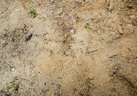 The home side sandの写真素材