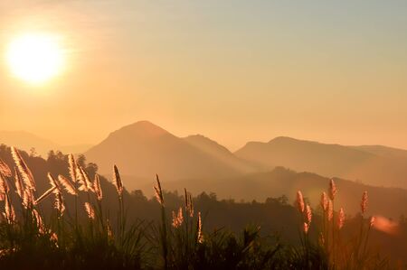 Sunset on the mountainの写真素材