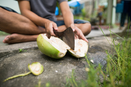 Coconut peeling