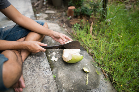 Coconut peelingの写真素材