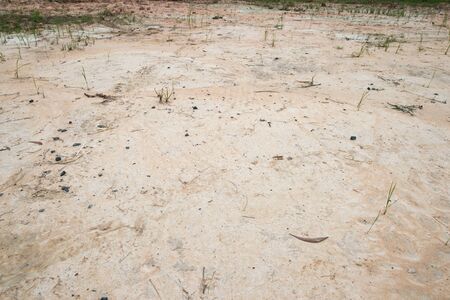 Ground Backgroundsの写真素材