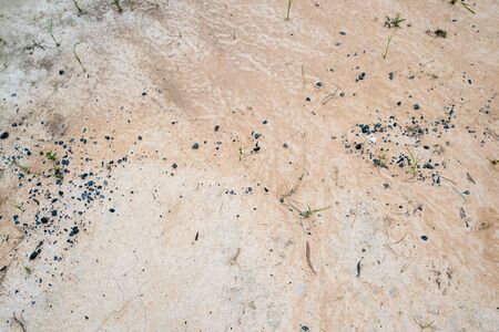Ground Backgroundsの写真素材