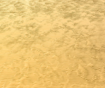 Ocean waves on a sandy beachの写真素材