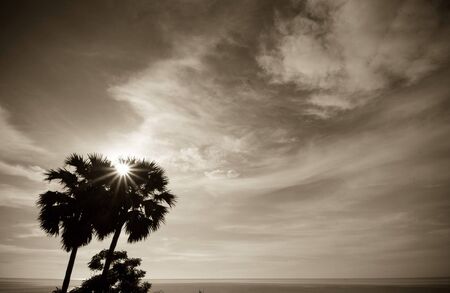 Silhouette beachの素材
