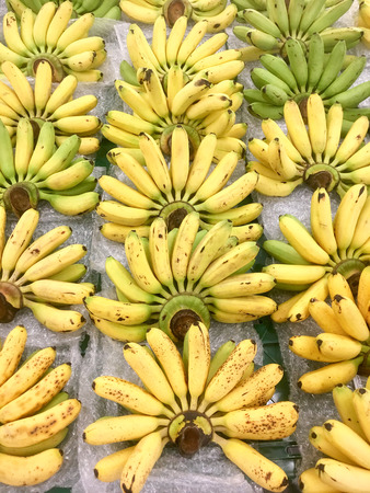 Many banana comb,Closeup of a bundle of bananas in natural light,Ubonratchathani,Thailand.の写真素材