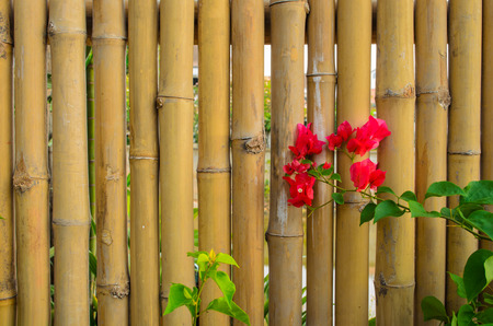 The fence is made of bambooの写真素材