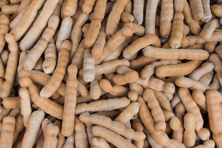 Tamarindの写真素材