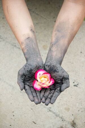 dark hands gardening people with roses. Unworthyの写真素材