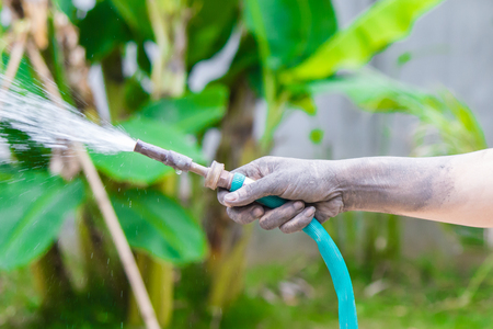 watering the trees pumping through rubber tube. Daytimeの写真素材
