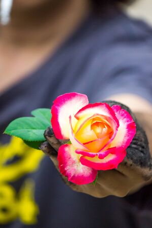 dark hands gardening people with roses. Unworthyの写真素材