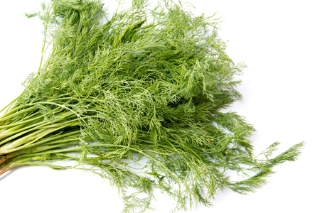 Fresh dill isolated on a white backgroundの写真素材