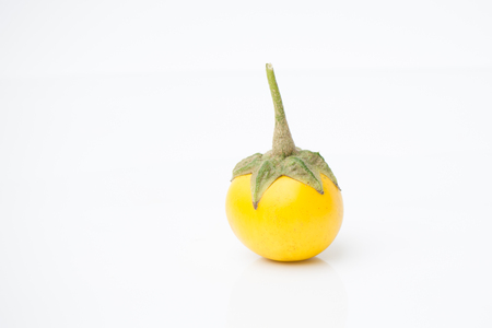 many Thai cockroach berry on white backgroundの写真素材