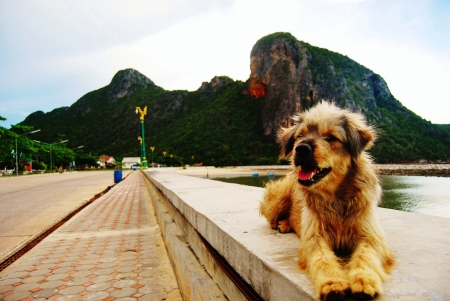 Aloneの写真素材