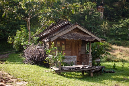 hut in forestの写真素材