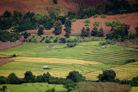 Mountain rice terraces in the village center  Northern Thailandの写真素材