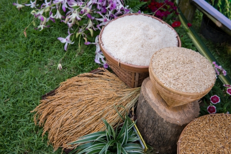 Rice, Thailand Rice Federation, which is the same as the top of the worldの写真素材