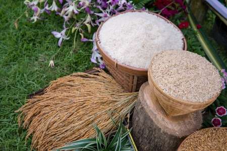 Rice, Thailand Rice Federation, which is the same as the top of the worldの写真素材