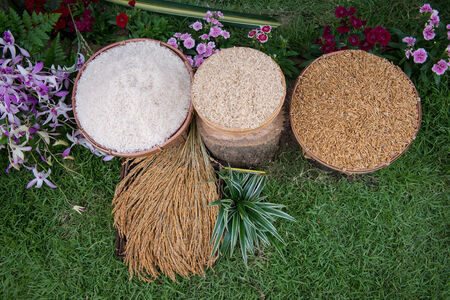 Rice, Thailand Rice Federation, which is the same as the top of the worldの写真素材