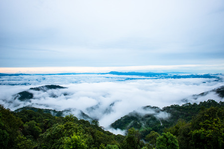 Sea fog on Doi Ang Khang, Chiang Mai, Thailand's highest mountain.の写真素材