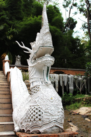 dragon の写真素材