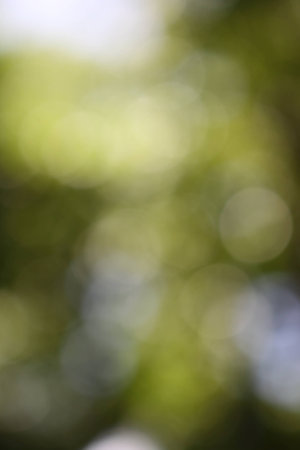 natural light backgroundの写真素材