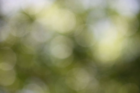 natural light backgroundの写真素材