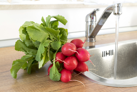 A bunch of washed red radish on the background of a kitchen sink. Fresh washed red radish ready to eatの写真素材
