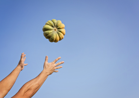 Hands of a man throwing a ripe pumpkin. Harvest time, harvest festival. Vegetarian concept, copy spaceの写真素材