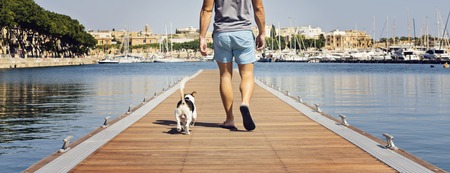 Banner man with a dog walking on the floating pier on a sunny day. Friendship and travel with dog conceptの写真素材