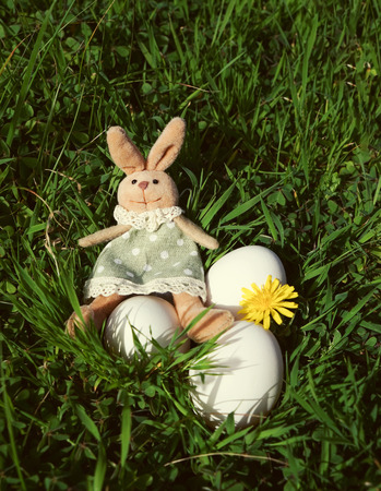 Easter bunny with white Easter eggs in the green grass. Happy Easter concept verticalの写真素材