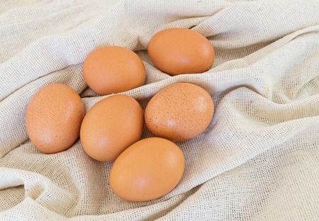 Large group of Fresh chicken eggs on cotton fabric background. Organic food industry conceptの写真素材