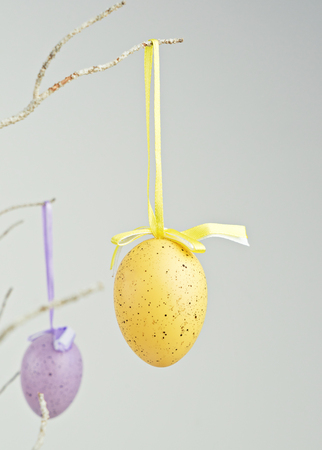 Yellow and purple decorative eggs hanging on dry branch. Abstract minimalism Easter decor concept,...