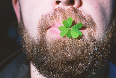 Close up Bearded man lips holds natural green leaf of clover. St. Patricks day conceptの写真素材