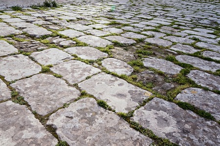Surface of the old paving stone road with sprouted moss between the stones, natural textureの写真素材
