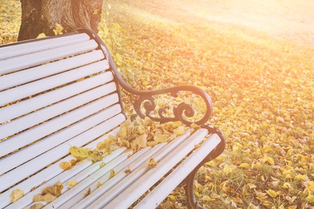 Close up view of vintage empty bench in autumn park, fall season conceptの写真素材