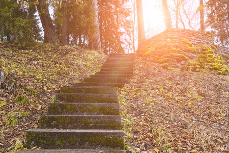 View of the empty ancient staircase in the park leading into the depths of the autumn forestの写真素材